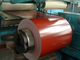 Yüksek Kalite PPGI Galvanizli Çelik Bobin Sıcak Dolaşımlı 1mm 2mm Kalınlığı 300mm 500mm Genişliği Endüstri için